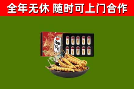 牟平烟酒回收冬虫夏草礼盒.jpg