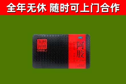 牟平回收阿胶